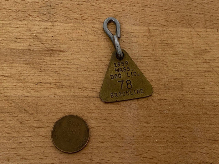 1959 Brookline Massachusetts Brass Dog License Tag at Duckwells