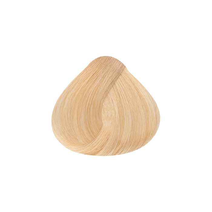09.3 Soft Very Light Golden Blonde