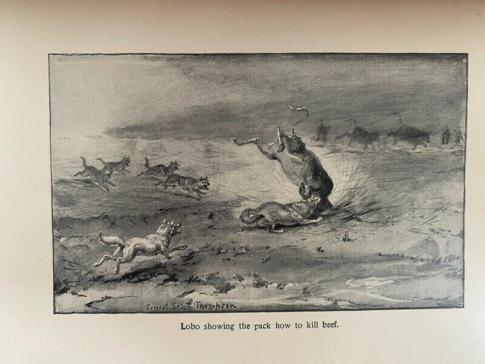 Antique Book, Wild Animals I Have Known by Ernest Seton-Thompson at Duckwells