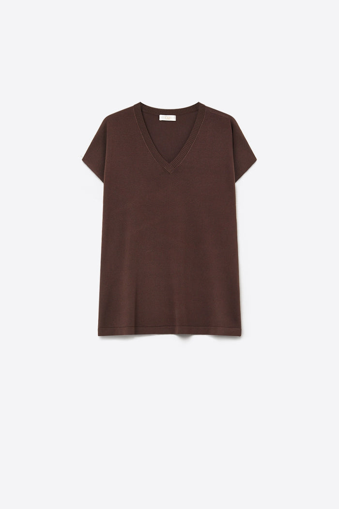 Brown Fine Knit V-Neck Short Sleeve Sweater