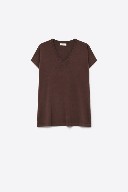Brown Fine Knit V-Neck Short Sleeve Sweater