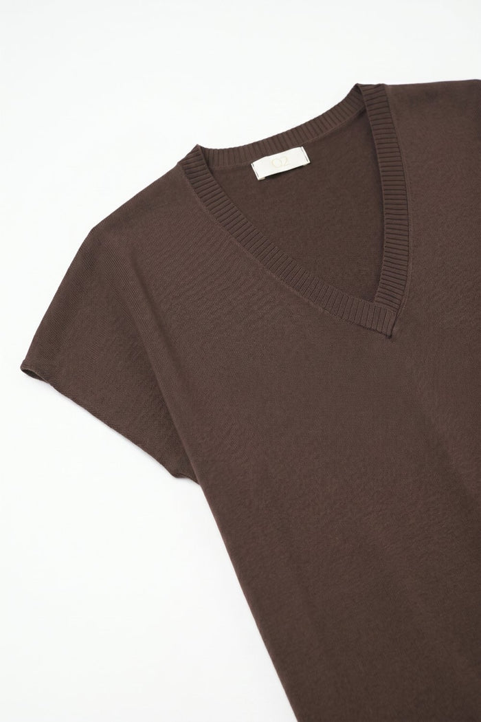 Brown Fine Knit V-Neck Short Sleeve Sweater