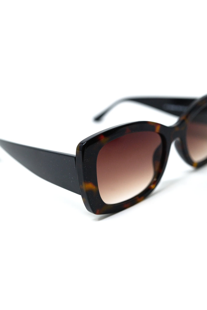 Brown Oversized Oval Sunglasses in Acetate