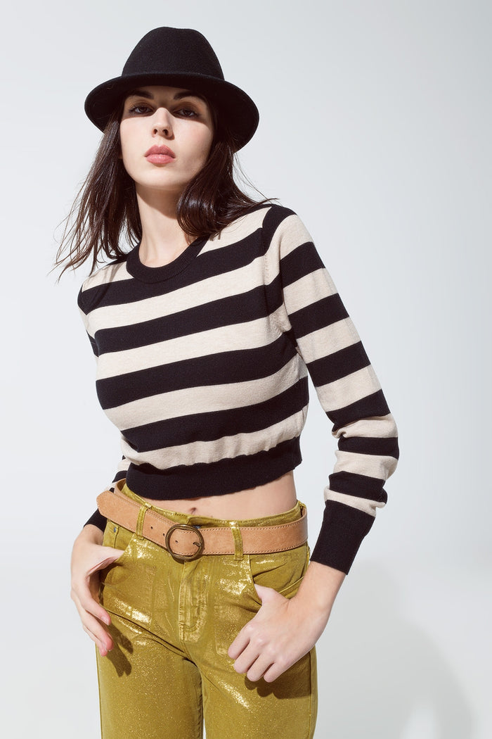 Crew Neckline Sweatshirt with Stripe Black and Beige Design