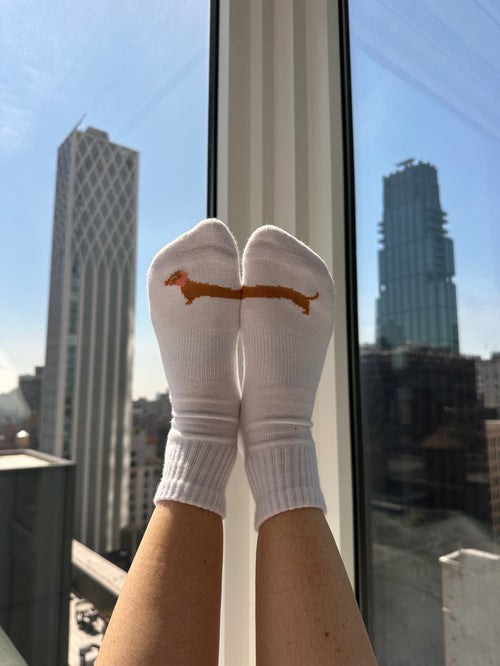 Dachshund sock
