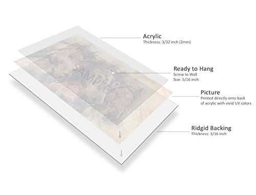 Einstein E=Mc2 Picture on Stretched Canvas, Wall Art Décor, Ready to Hang
