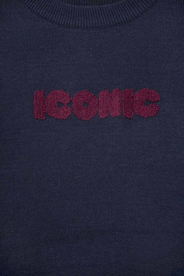 Embroidered ICONIC Sweater with Global Tour Back Print in Navy