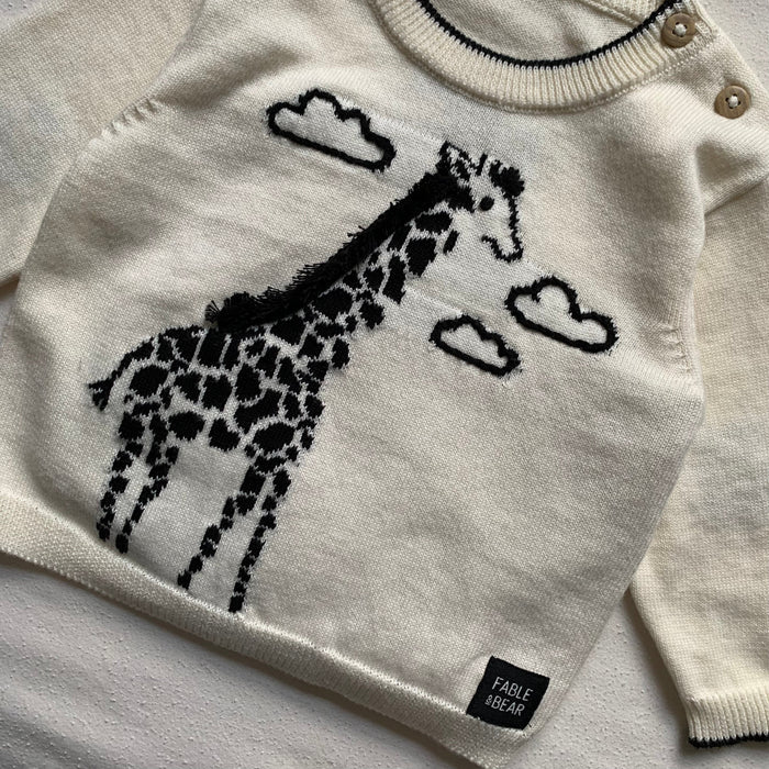 Giraffe Jumper - Baby & Toddler Clothing Accessories