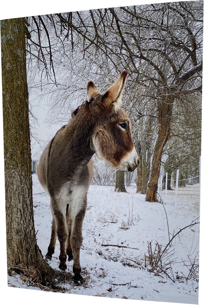 "Pickle" striking a snow pose: Blank inside