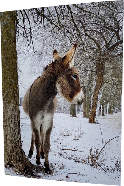 "Pickle" striking a snow pose: Blank inside