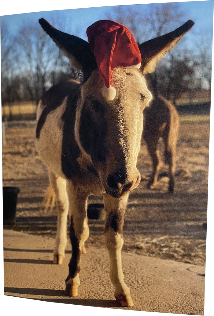 Santa "Pico" : Inside - "Happy HoliBRAYs"