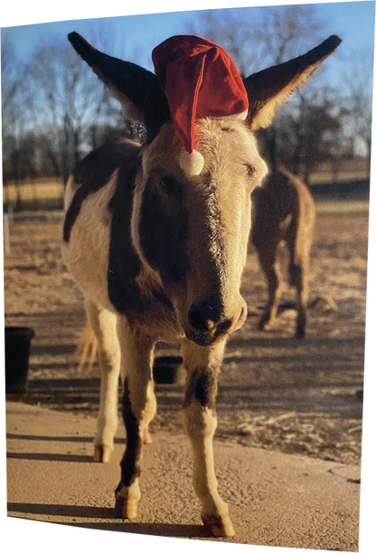 Santa "Pico" : Inside - "Happy HoliBRAYs"