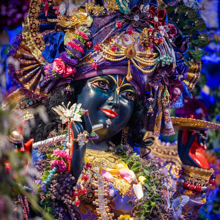 KRISHNA INTENSIVE RETREAT - FIND YOUR INNER FOCUS