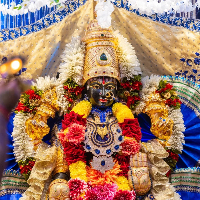 LAKSHMI INTENSIVE RETREAT — FIND YOUR INNER LIGHT