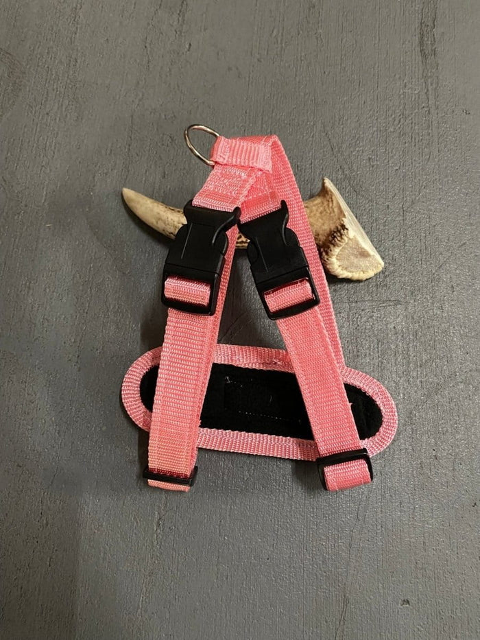 Dogtraining101 Retail Super Store Light Pink Plain-Black Clip-Pink Trim Harness (Medium)