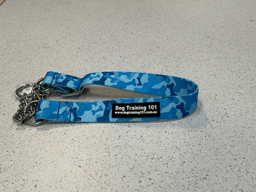Dogtraining101 Medium Martingale Blue Bone Camo Design