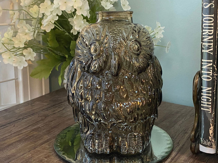 Midcentury Brown Glass Owl Bank at Duckwells