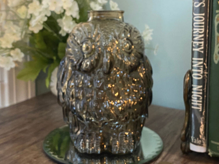 Midcentury Brown Glass Owl Bank at Duckwells