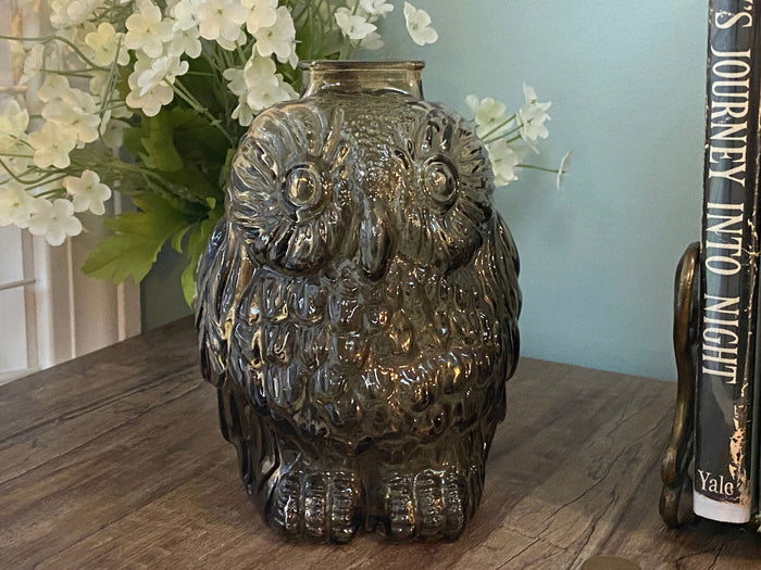 Midcentury Brown Glass Owl Bank at Duckwells