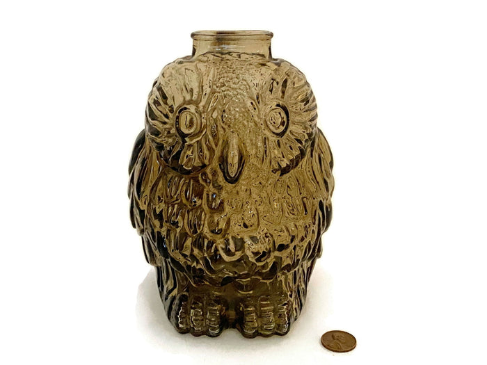 Midcentury Brown Glass Owl Bank at Duckwells
