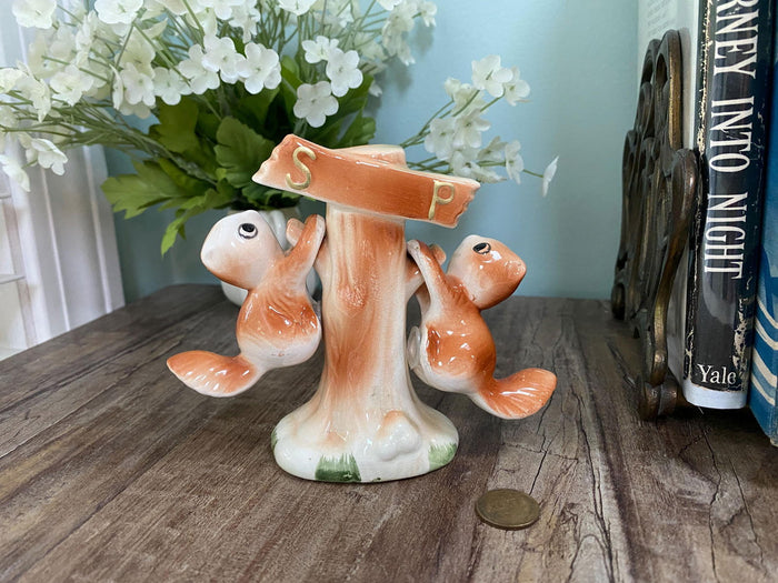 Midcentury Ceramic Chipmunk Salt and Pepper Shaker Set at Duckwells