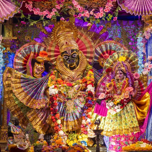 NARASIMHA INTENSIVE RETREAT - FIND YOUR INNER PURPOSE