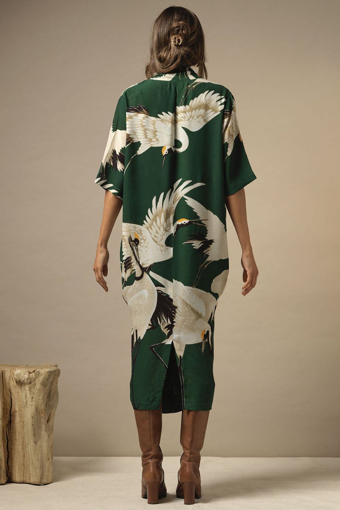 One Hundred Stars DRBSTOFOR Stork Forest Green Rachel Dress - Dotique Chesterfield