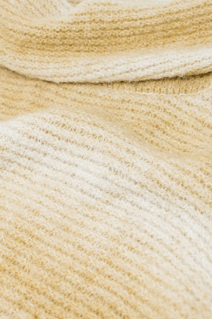 Oversized Turtleneck Comfy Sweater in Warm Neutral Tones