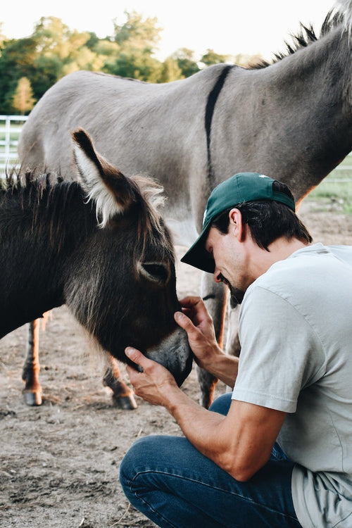 Private Tour/Donkey Meet & Greet