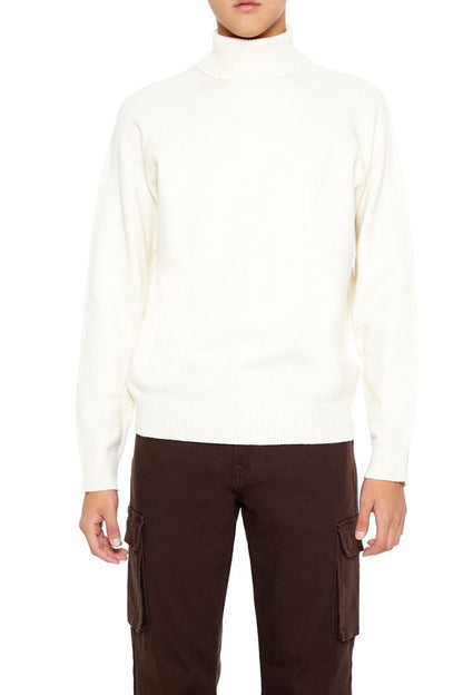 Raglan Turtleneck Sweater