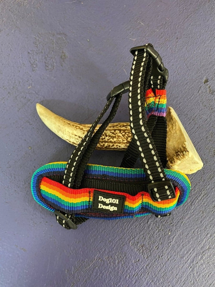 Dogtraining101 Retail Super Store Rainbow Trim-Black Clip-Black Reflective Premium Harness (Small)