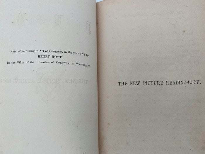 Rare Antique Book, The New Picture Reading Book, 1872 at Duckwells