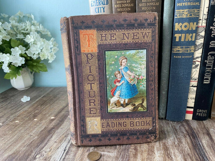 Rare Antique Book, The New Picture Reading Book, 1872 at Duckwells