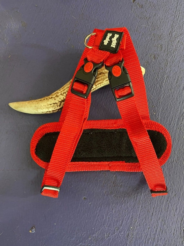 Dogtraining101 Retail Super Store Red Plain-Black Clip-Red Trim Harness (Small)