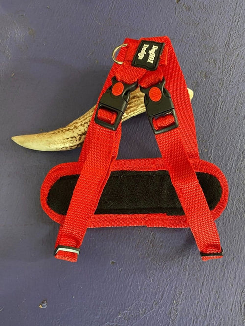 Dogtraining101 Retail Super Store Red Plain-Black Clip-Red Trim Harness (Small)