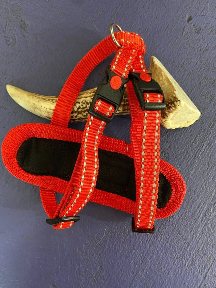 Dogtraining101 Red Trim-Black Clip-Red Reflective Harness (Small)