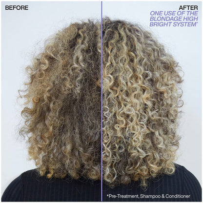 Redken Blondage High Bright Shampoo