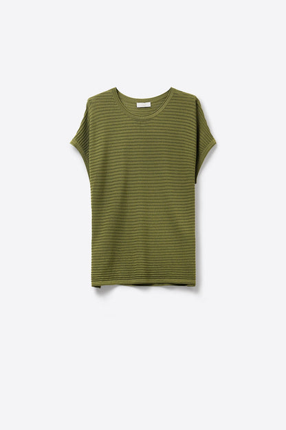 Ribbed knitted Short Sleeve sweater in olive green