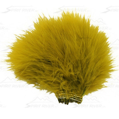 Golden Olive