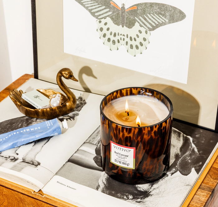 Tortoise Candle - Red Currant