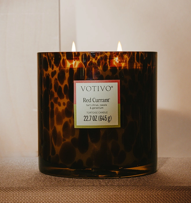 Tortoise Candle - Red Currant