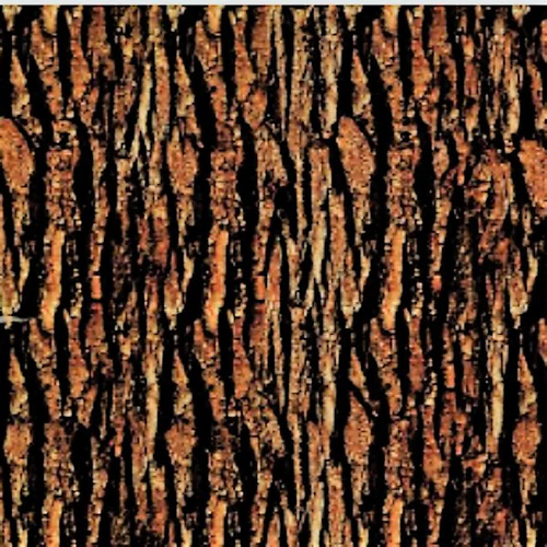 TREE BARK #1