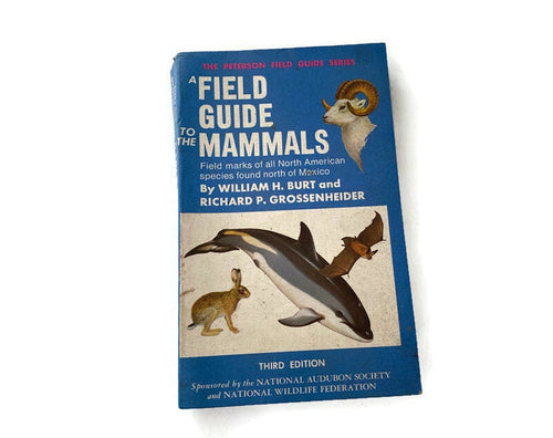 Vintage Field Guide to the Mammals, 1976 Third Edition at Duckwells